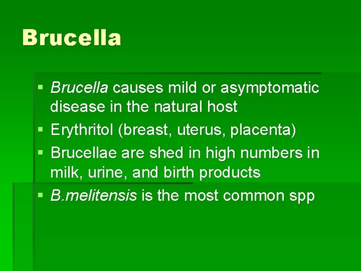 Brucella § Brucella causes mild or asymptomatic disease in the natural host § Erythritol