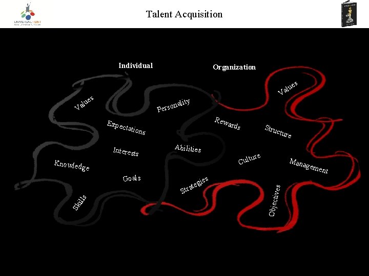 Talent Acquisition Individual Organization es Expe lity Rew ards ctatio n s Interest s