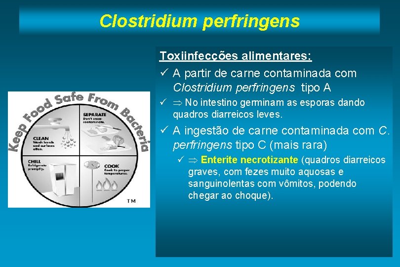 Clostridium perfringens Toxiinfecções alimentares: ü A partir de carne contaminada com Clostridium perfringens tipo