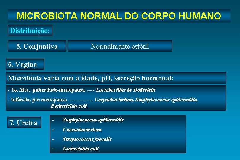 Microbiota Normal do Corpo Humano MICROBIOTA NORMAL DO CORPO HUMANO Distribuição: 5. Conjuntiva Normalmente