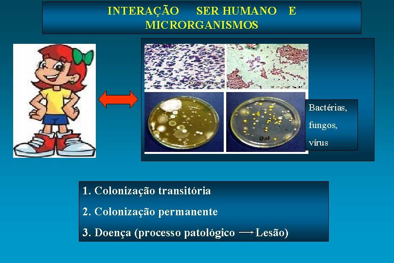 INTERAÇÃO SER HUMANO MICRORGANISMOS E Bactérias, fungos, vírus 1. Colonização transitória 2. Colonização permanente