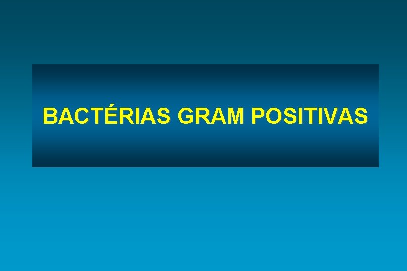 BACTÉRIAS GRAM POSITIVAS 