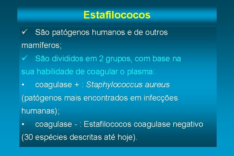 Estafilococos ü São patógenos humanos e de outros mamíferos; ü São divididos em 2