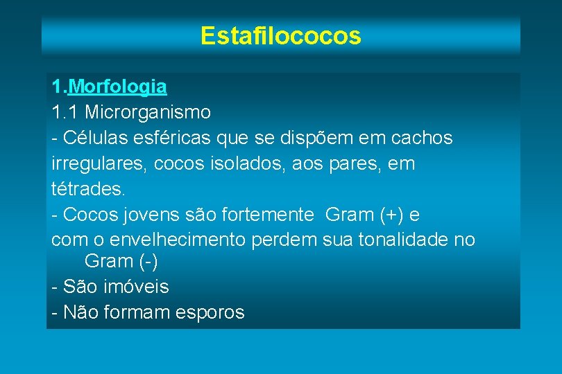 Estafilococos 1. Morfologia 1. 1 Microrganismo - Células esféricas que se dispõem em cachos