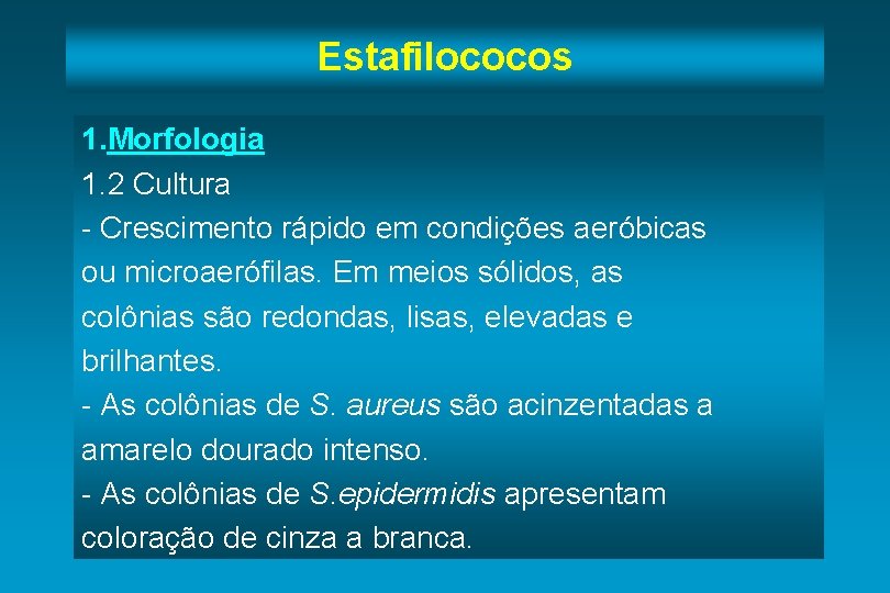 Estafilococos 1. Morfologia 1. 2 Cultura - Crescimento rápido em condições aeróbicas ou microaerófilas.