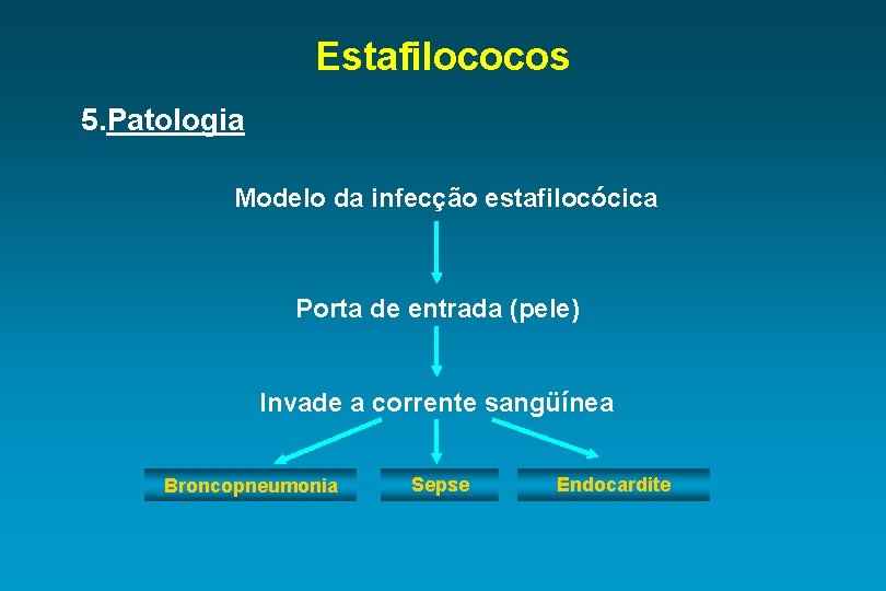 Estafilococos 5. Patologia Modelo da infecção estafilocócica Porta de entrada (pele) Invade a corrente