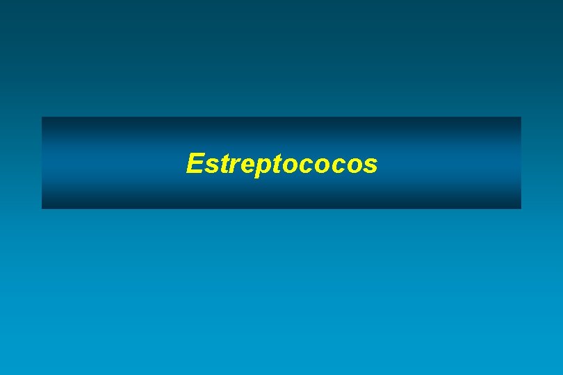 Estreptococos 