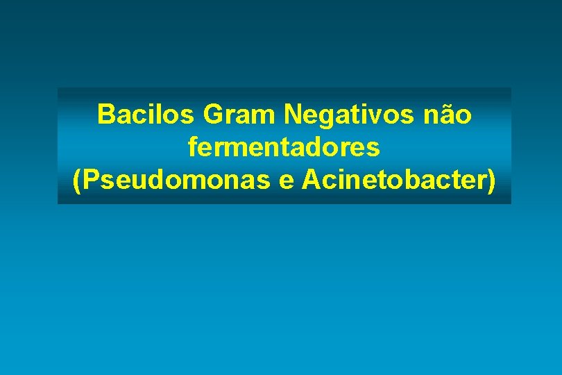 Bacilos Gram Negativos não fermentadores (Pseudomonas e Acinetobacter) 