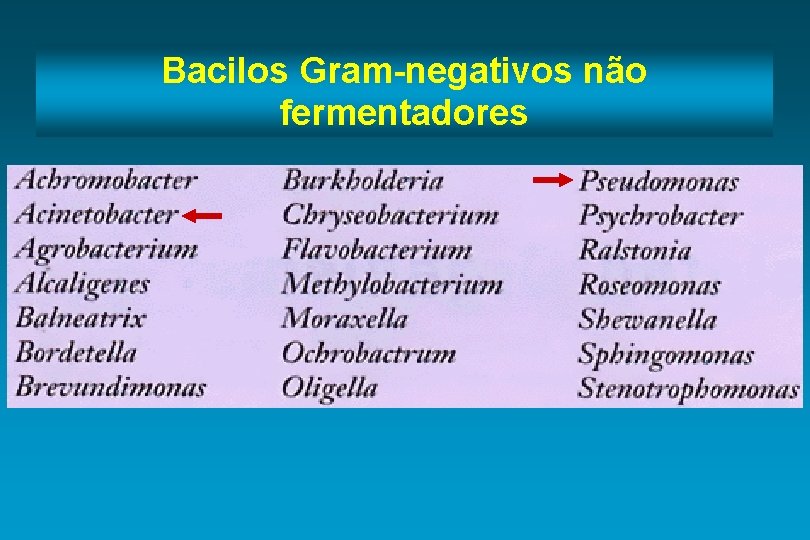 Bacilos Gram-negativos não fermentadores 