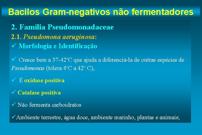 Bacilos Gram-negativos não fermentadores 2. Família Pseudomonadaceae 2. 1. Pseudomona aeruginosa: ü Morfologia e