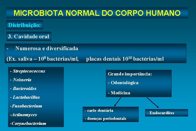 Microbiota Normal do Corpo Humano MICROBIOTA NORMAL DO CORPO HUMANO Distribuição: 3. Cavidade oral