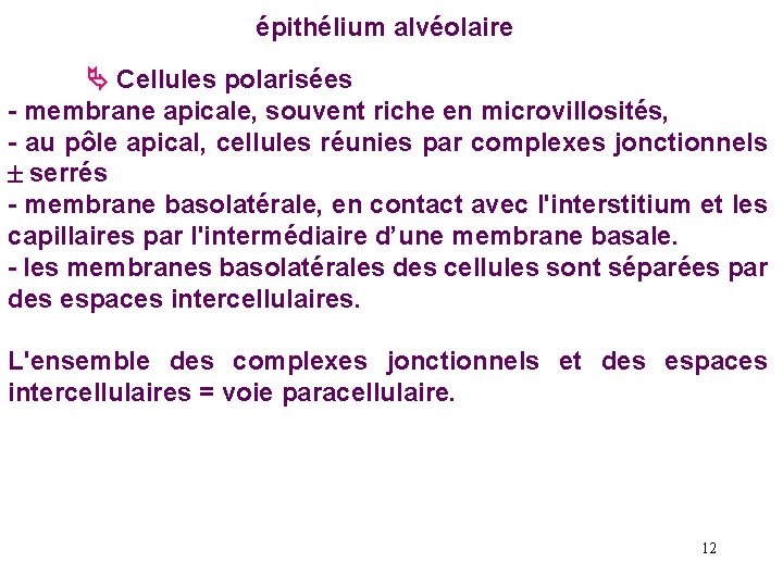 épithélium alvéolaire Cellules polarisées - membrane apicale, souvent riche en microvillosités, - au pôle