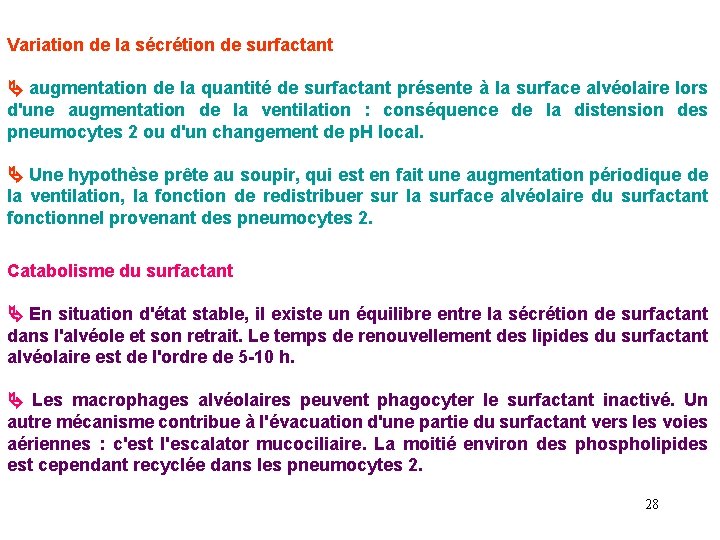 Variation de la sécrétion de surfactant augmentation de la quantité de surfactant présente à