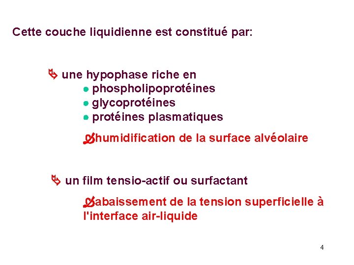 Cette couche liquidienne est constitué par: une hypophase riche en phospholipoprotéines glycoprotéines plasmatiques humidification