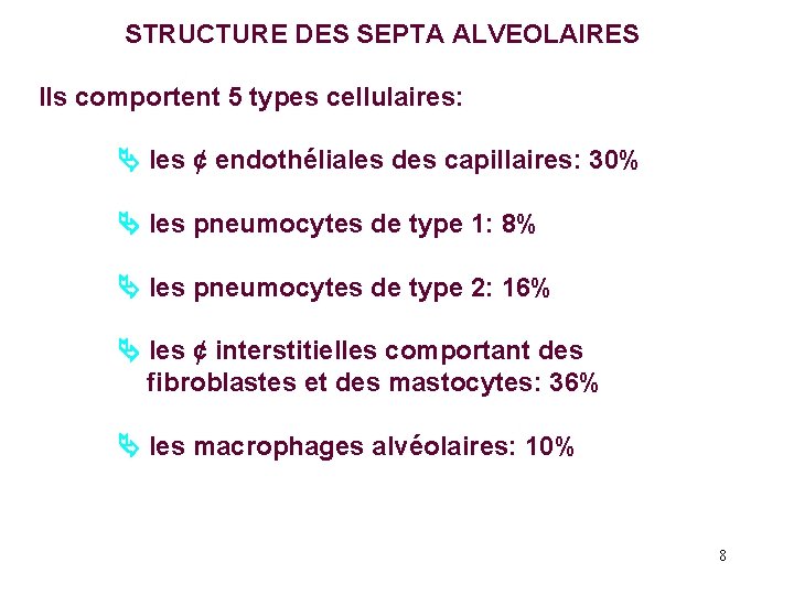 STRUCTURE DES SEPTA ALVEOLAIRES Ils comportent 5 types cellulaires: les ¢ endothéliales des capillaires:
