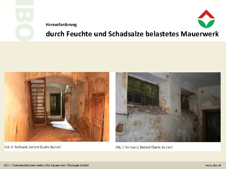 Herausforderung durch Feuchte und Schadsalze belastetes Mauerwerk 