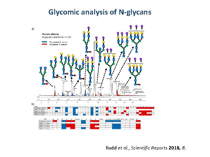 Glycomic analysis of N-glycans α 3 α 3 α 6 a) 4 4 α