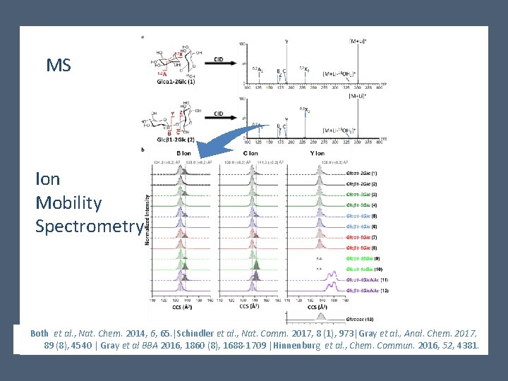 MS Ion Mobility Spectrometry Both et al. , Nat. Chem. 2014, 6, 65. |Schindler