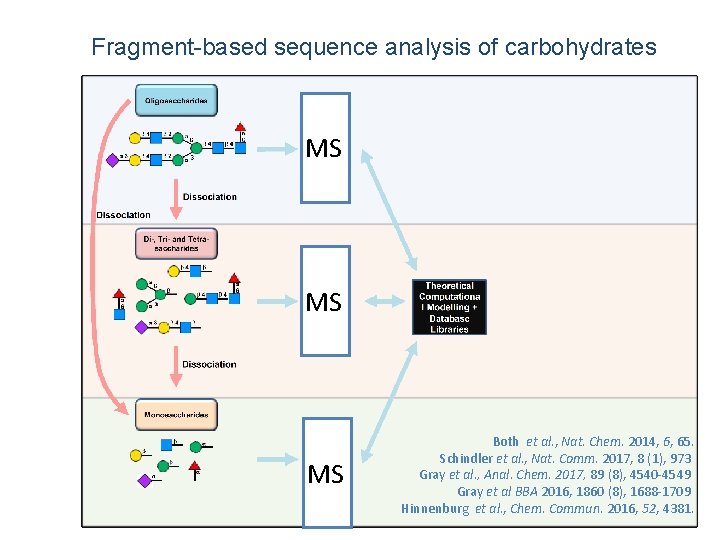 Fragment-based sequence analysis of carbohydrates MS MS MS Both et al. , Nat. Chem.