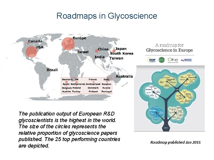 Roadmaps in Glycoscience The publication output of European R&D glycoscientists is the highest in