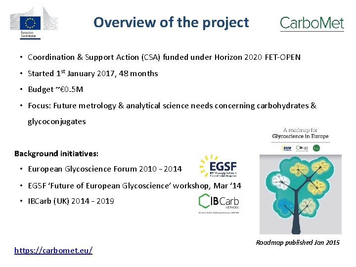 Overview of the project • Coordination & Support Action (CSA) funded under Horizon 2020