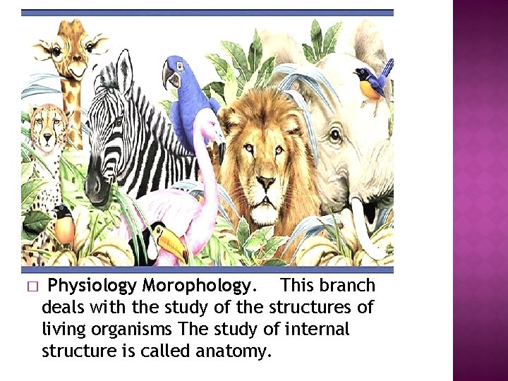 � Physiology Morophology. This branch deals with the study of the structures of living