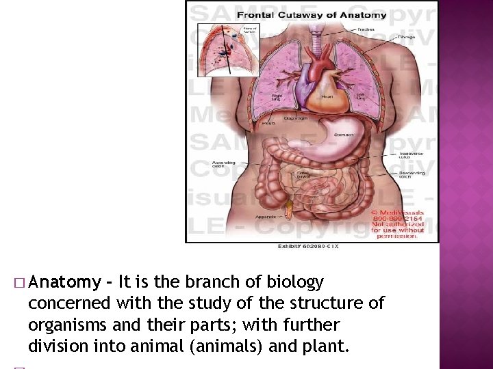 � Anatomy - It is the branch of biology concerned with the study of