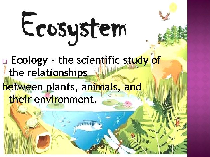 Ecology - the scientific study of the relationships between plants, animals, and their environment.