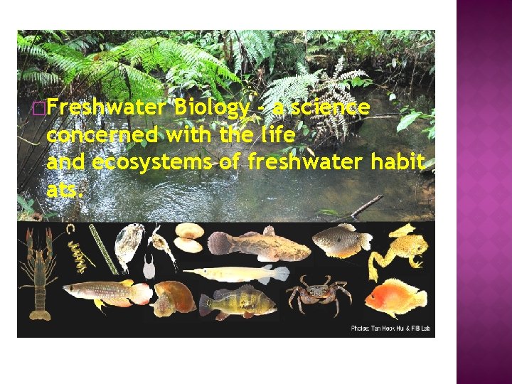 �Freshwater Biology - a science concerned with the life and ecosystems of freshwater habit