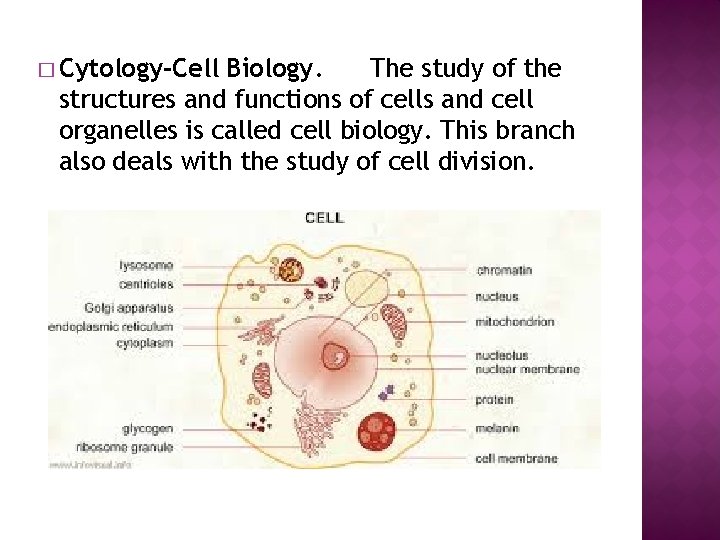 � Cytology-Cell Biology. The study of the structures and functions of cells and cell