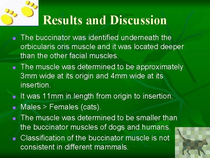 Results and Discussion n n n The buccinator was identified underneath the orbicularis oris