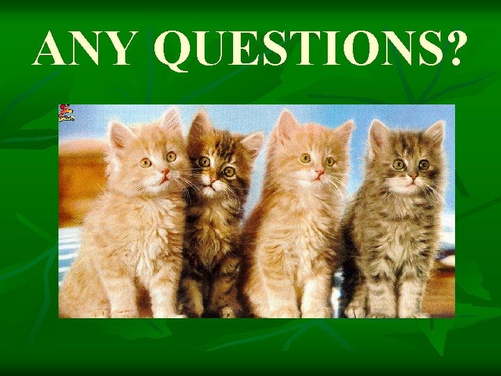 ANY QUESTIONS? 