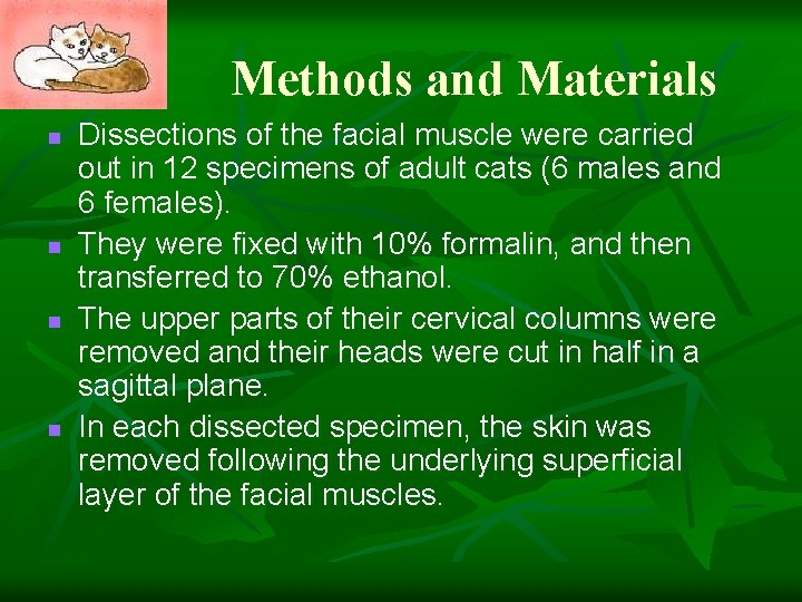Methods and Materials n n Dissections of the facial muscle were carried out in