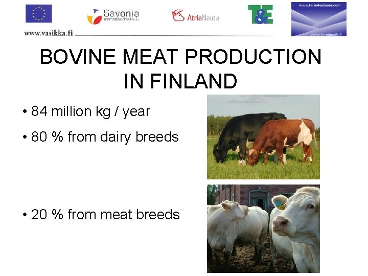 BOVINE MEAT PRODUCTION IN FINLAND • 84 million kg / year • 80 %