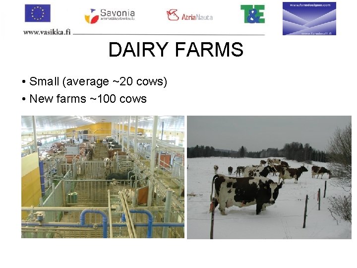 DAIRY FARMS • Small (average ~20 cows) • New farms ~100 cows 