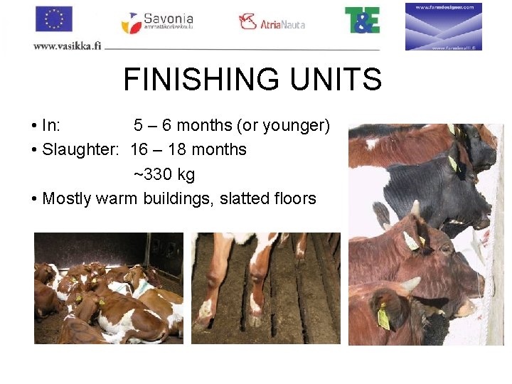 FINISHING UNITS • In: 5 – 6 months (or younger) • Slaughter: 16 –