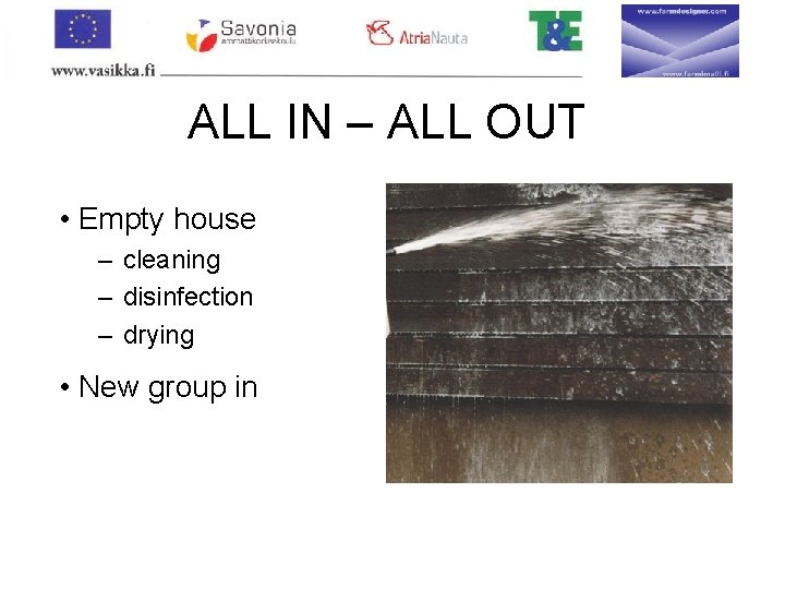 ALL IN – ALL OUT • Empty house – cleaning – disinfection – drying