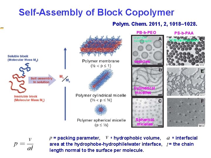 Self-Assembly of Block Copolymer. Polymer Synthesis CHEM 421 Polym. Chem. 2011, 2, 1018– 1028.