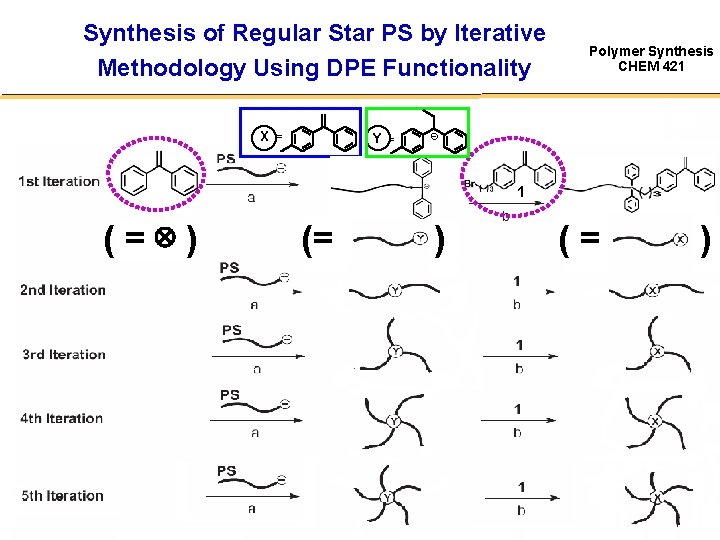 Synthesis of Regular Star PS by Iterative Methodology Using DPE Functionality X = Y