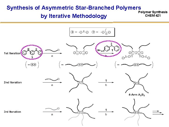 Synthesis of Asymmetric Star-Branched Polymers Polymer Synthesis CHEM 421 by Iterative Methodology 1 