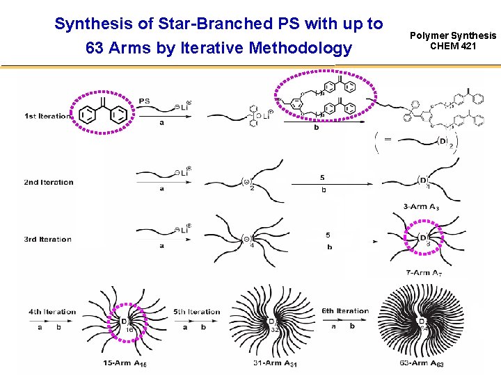 Synthesis of Star-Branched PS with up to 63 Arms by Iterative Methodology 5 Polymer