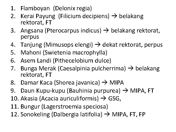 1. Flamboyan (Delonix regia) 2. Kerai Payung (Filicium decipiens) belakang rektorat, FT 3. Angsana