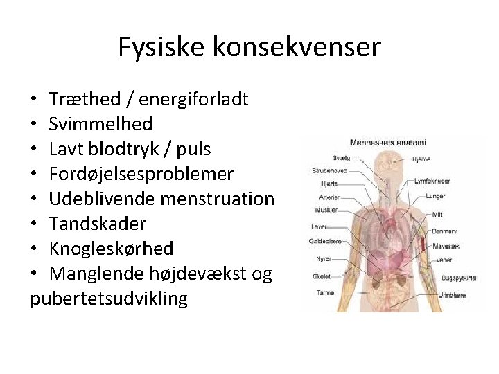 Fysiske konsekvenser • Træthed / energiforladt • Svimmelhed • Lavt blodtryk / puls •