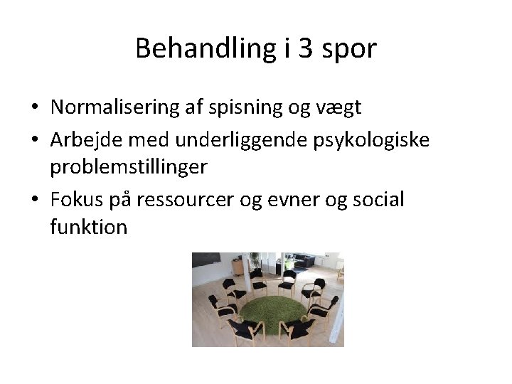 Behandling i 3 spor • Normalisering af spisning og vægt • Arbejde med underliggende