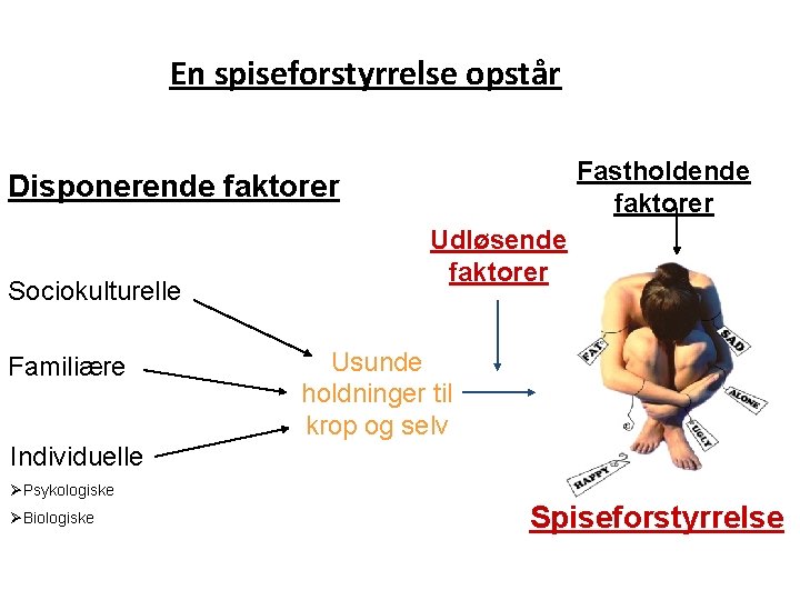 En spiseforstyrrelse opstår Fastholdende faktorer Disponerende faktorer Sociokulturelle Familiære Udløsende faktorer Usunde holdninger til