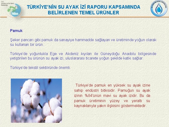 TÜRKİYE’NİN SU AYAK İZİ RAPORU KAPSAMINDA BELİRLENEN TEMEL ÜRÜNLER Pamuk: Şeker pancarı gibi pamuk