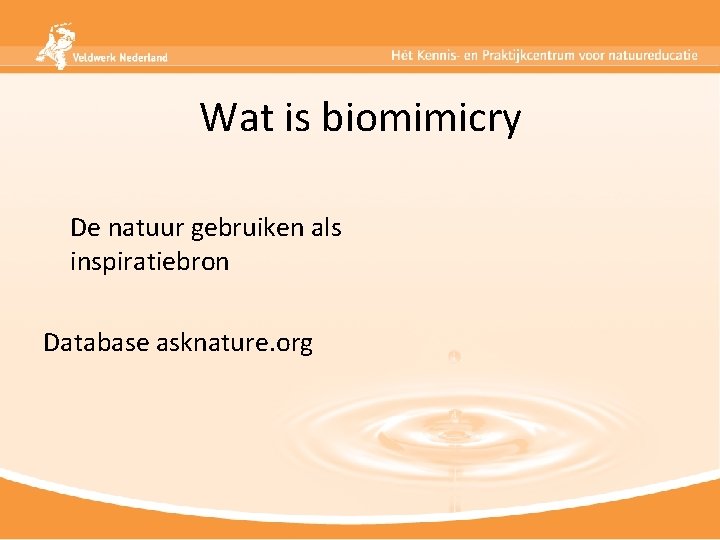 Wat is biomimicry De natuur gebruiken als inspiratiebron Database asknature. org 