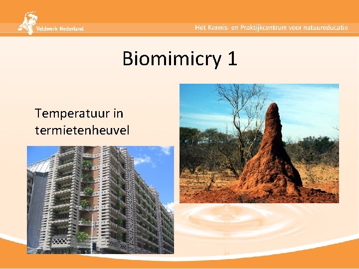 Biomimicry 1 Temperatuur in termietenheuvel 