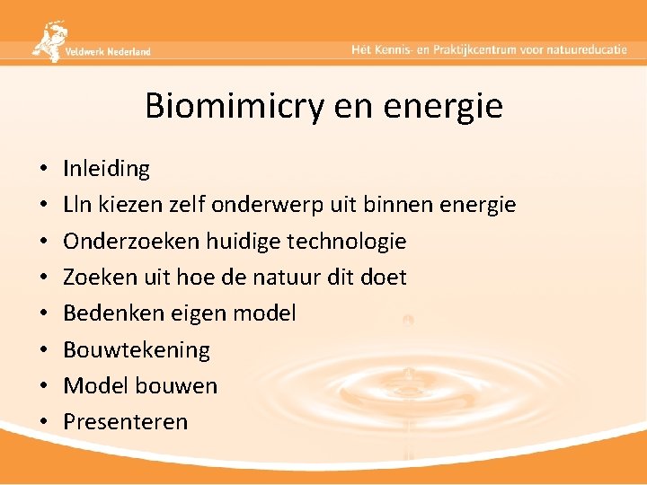 Biomimicry en energie • • Inleiding Lln kiezen zelf onderwerp uit binnen energie Onderzoeken