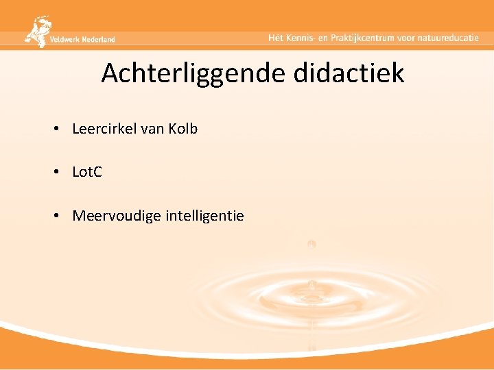 Achterliggende didactiek • Leercirkel van Kolb • Lot. C • Meervoudige intelligentie 